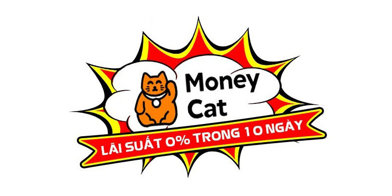 Moneycat1